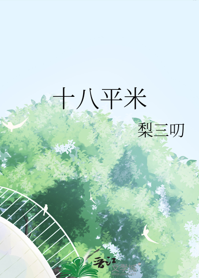十八平米