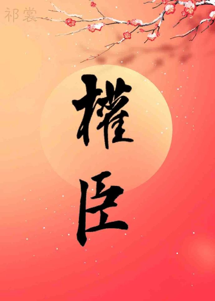 嫁给权臣以后