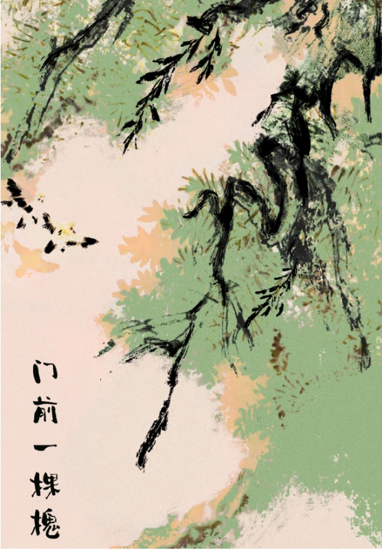 门前一棵槐