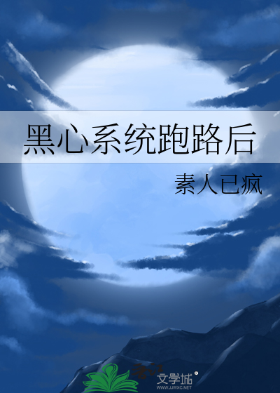 黑心系统跑路后