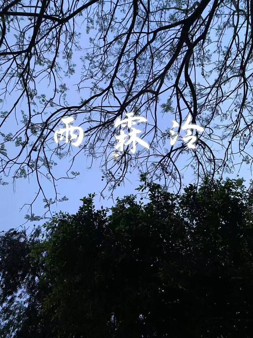 雨霖泠