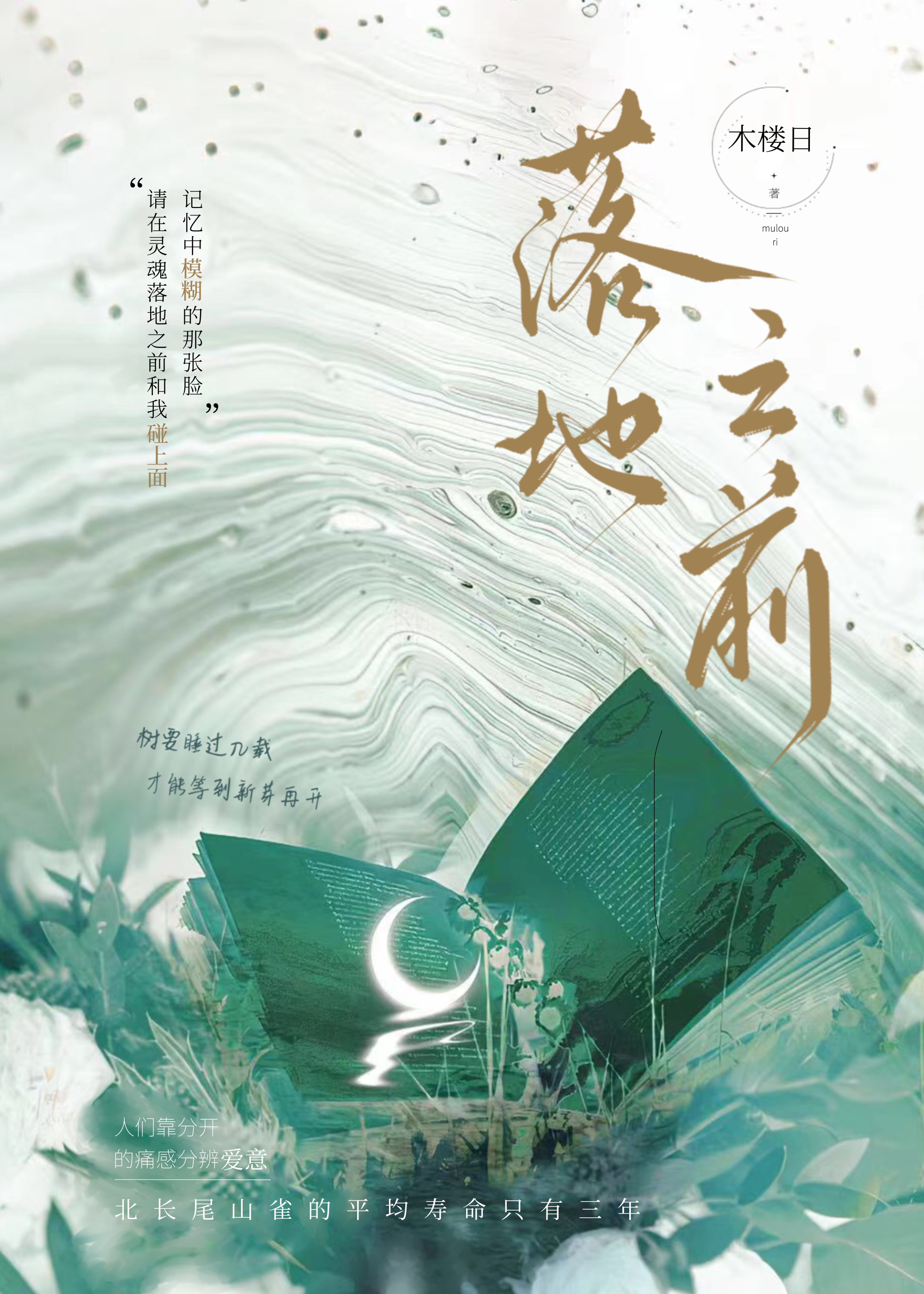 落地之前
