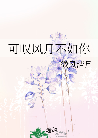 可叹风月不如你