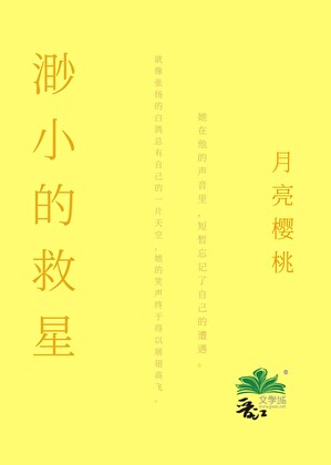 渺小的救星