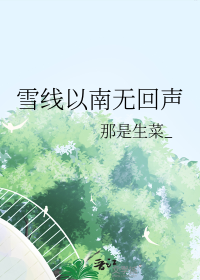 雪线以南无回声