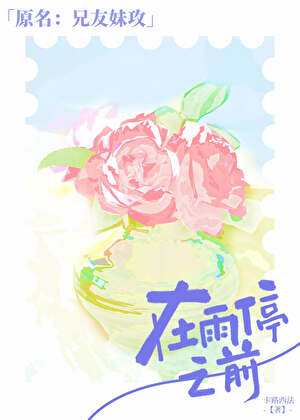 在雨停之前