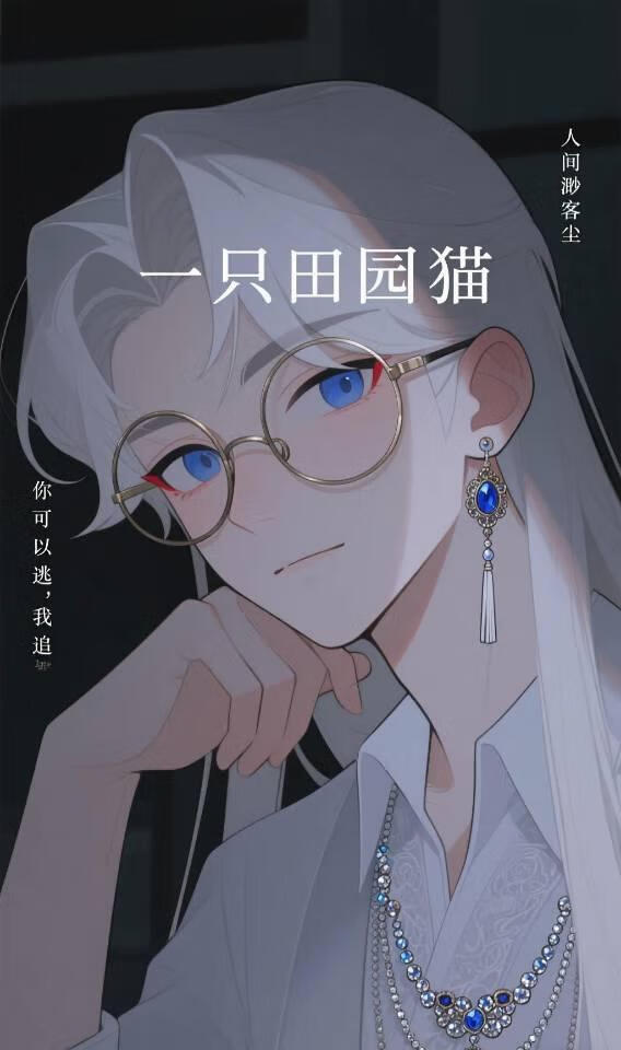一只田园猫