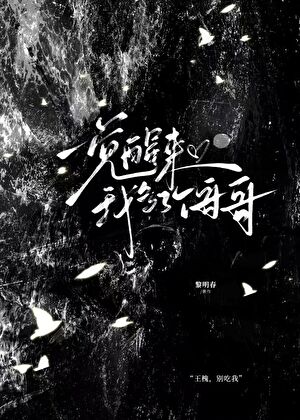 一觉醒来我多了个哥哥