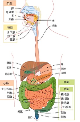 原来我不是精神病啊