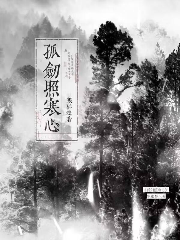 孤剑照寒心