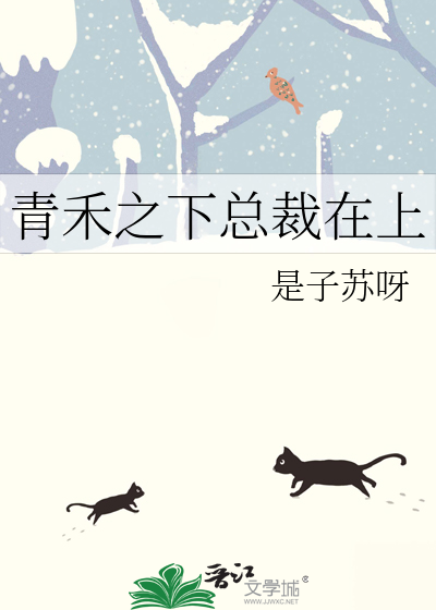 青禾之下总裁在上