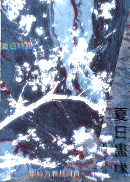 夏日蛊缘