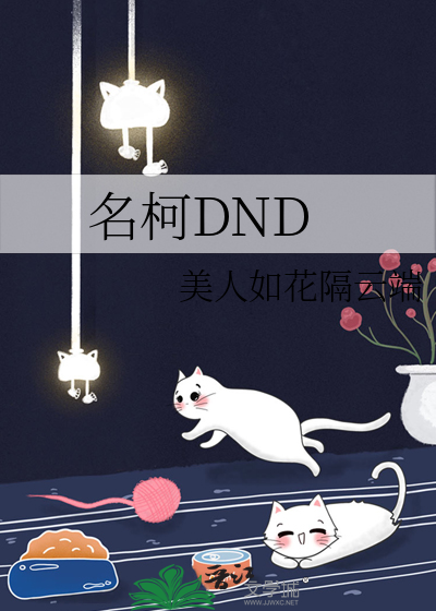 名柯DND