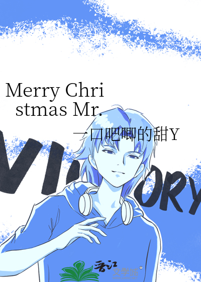 Merry Christmas Mr.